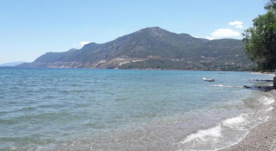 Small Theater Apartment Epidaurus Bagian luar foto